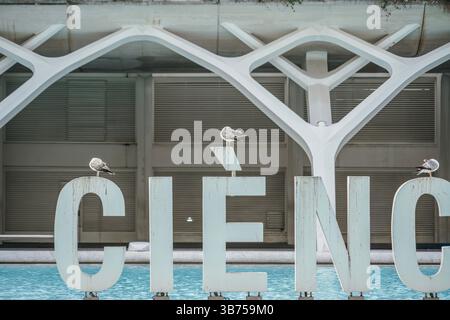 Gros plan du lettrage du Musée des Sciences à la Cité des Arts et des Sciences. Mouettes perchées sur le panneau 'CIENCIA' à Valence, Espagne. Détail du Scienc Banque D'Images