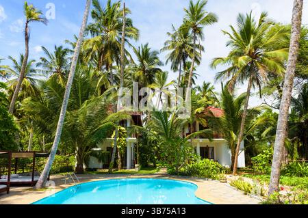 Paradis tropical Resort avec palmiers et piscine dans un cadre côtier ensoleillé. Banque D'Images