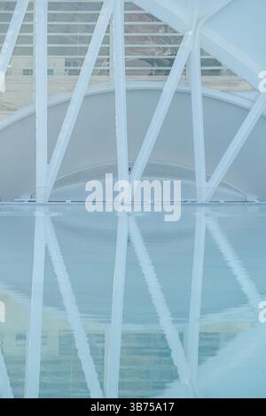 Perspective du Museu de les ciencies principe Felipe. Détail architectural blanc unique et reflets de l'eau en Espagne. Cité des Arts et des Sciences, Banque D'Images