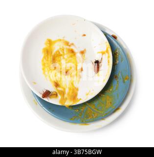 Cafards rampant sur de la vaisselle sale sur fond blanc, vue de dessus Banque D'Images