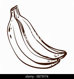 Illustration vectorielle de banane tropicale Illustration de Vecteur