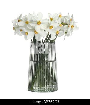 Belles jonquilles en vase isolées sur blanc Banque D'Images