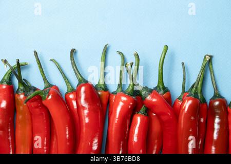 Sharp et épicé Chili Peppers vue de dessus sur fond bleu. Banque D'Images