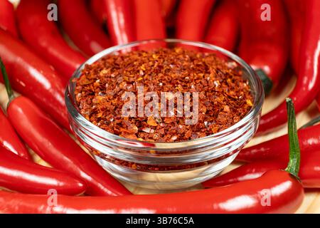 Assaisonnement au Chili séché avec des piments frais. Banque D'Images
