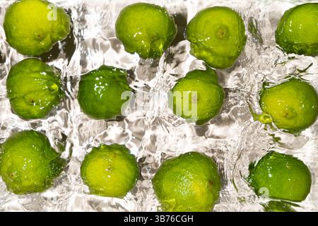 Limes entières fraîches flottant dans l'eau vue de dessus. Banque D'Images