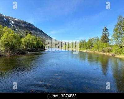 La rivière serpente à travers une vallée luxuriante, sous un ciel bleu vif et sans nuages, par une journée ensoleillée dans le nord de la Suède. Banque D'Images