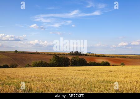 Le célèbre Mountain Rip à l'horizon. Le champ après la récolte en journée ensoleillée. Image avec champ de blé fauché sous jour ensoleillé. République tchèque Banque D'Images