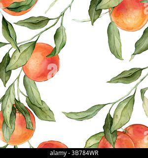 Cadre carré pamplemousse. Illustration à l'aquarelle dessinée à la main de la frontière avec des branches d'agrumes sur fond isolé blanc. Dessin avec des fruits tropicaux Banque D'Images