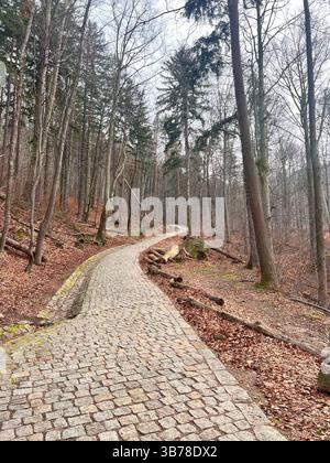 Château de Chojnik, ruines médiévales au sommet d'une montagne pittoresque, Pologne Banque D'Images
