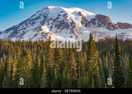 Sommet du mont Rainier et la région Paradise au parc national du mont Rainier dans l'État de Washington, États-Unis Banque D'Images