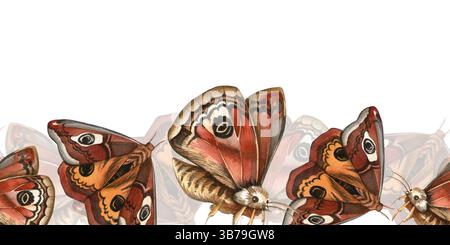 Papillons lumineux dans le modèle de vol avec bordure sans couture. Saturnia pavonia élégant cadre aquarelle avec bordure. Parfait pour le design vintage Banque D'Images