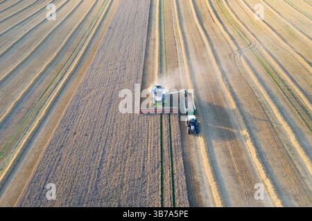 Moissonneuse-batteuse pendant la récolte des céréales, Skane, Suède Banque D'Images
