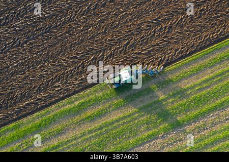 Champ de labourage tracteur, été, Schleswig-Holstein, Allemagne Banque D'Images