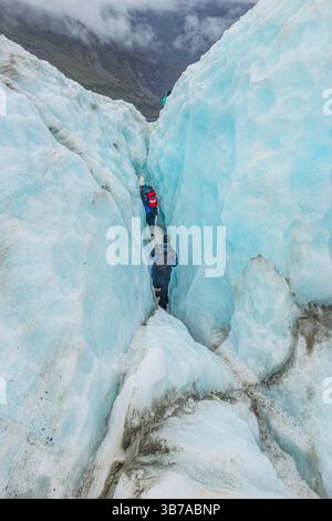 Alpinistes sur glacier, Fox Glacier, Westland National Park, South Island, Nouvelle-Zélande Banque D'Images