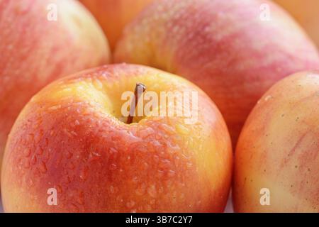 Gros plan de pomme fraîche mûre avec des gouttes d'eau Banque D'Images