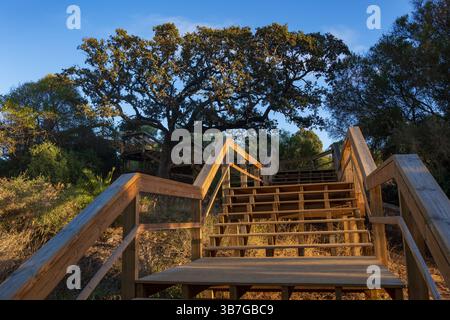 Larges escaliers en bois sur la pente d'une colline côtière dans la région de l'Algarve, Portugal. Banque D'Images