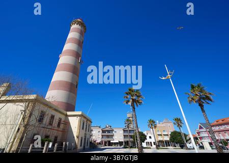 Grand phare rayé rouge et blanc sous un ciel bleu clair entouré de palmiers à Praia da Barra, près d'Aveiro, Portugal, Europe Banque D'Images