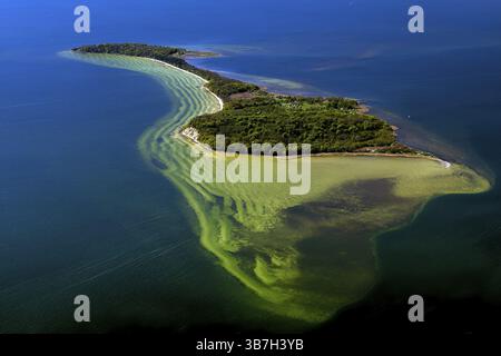 Vilm Island, Putbus, Mecklembourg-Poméranie occidentale, Allemagne, photo aérienne d'un petit avion, 27.04.2025 < english> Vilm Island, Mecklembourg-Wester Banque D'Images