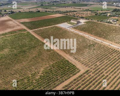 Son Llompart Vineyards by Macia Batle, Santa Eugenia, Majorque, Îles Baléares, Espagne, Europe Banque D'Images