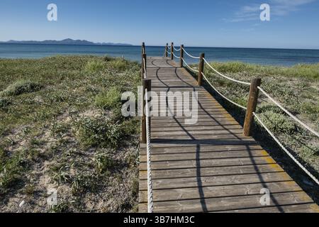 Chemin en bois pour protéger les dunes, Arenal de sa Canova, Arta - Santa Margalida, zone naturelle d'intérêt spécial, Majorque, Îles Baléares, Espagne, UE Banque D'Images