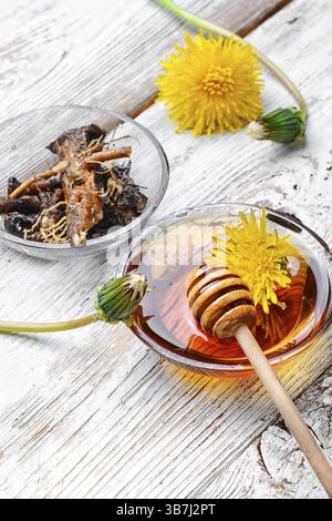 Bol d'infusion curative de la fleur et de la racine et du ressort du pissenlit Banque D'Images