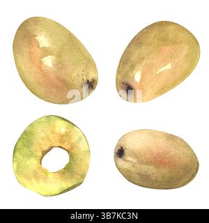 Olives vertes, tranchées et entières. Tranches d'olives vertes. Illustration isolée à l'aquarelle dessinée à la main. Pour l'impression sur les menus, la livraison, les restaurants Banque D'Images