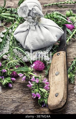 Approvisionnement de chardon d'herbes médicinales sauvages .photo teintée Banque D'Images