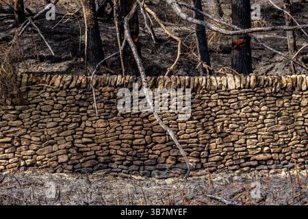 Les suites d'un incendie sauvage dans la vallée de Goyt près de Buxton dans le Peak District qui était probablement le résultat d'un incendie criminel, mai 2025 Banque D'Images
