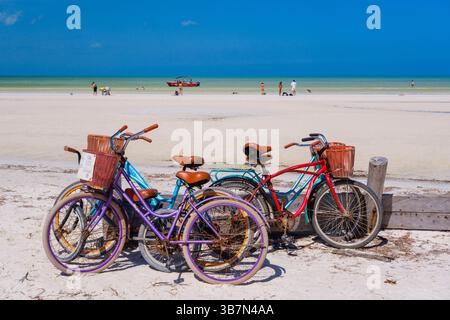 Isla Holbox, Mexique – 10 février 2025 : un groupe dynamique de vélos de plage avec des paniers stationnés sur le sable blanc de l'île Holbox, face au t Banque D'Images