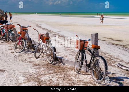 Isla Holbox, Mexique – 10 février 2025 : un groupe dynamique de vélos de plage avec des paniers stationnés sur le sable blanc de l'île Holbox, face au t Banque D'Images