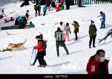 10 janvier 2021, MADRID, MADRID, ESPAGNE : la tempête Filomena a provoqué le chaos à Madrid, une chute de neige qui a bloqué la capitale de l'Espagne. En cent ans, tant de neige n'était pas tombée dans la ville. (Crédit image : © Richard Zubelzu/ZUMA Press Wire) Banque D'Images