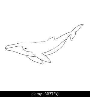 Baleine à bosse de contour plat dessinée à la main de vecteur isolée sur fond blanc Illustration de Vecteur