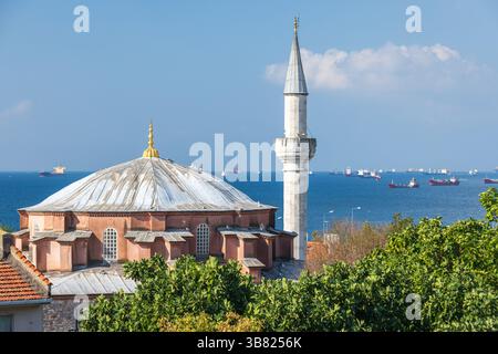 Mosquée avec une vue panoramique sur le Bosphore et la flotte de navires de charge à l'horizon, représentant l'architecture, le voyage et les thèmes maritimes. Istanbul, Turke Banque D'Images