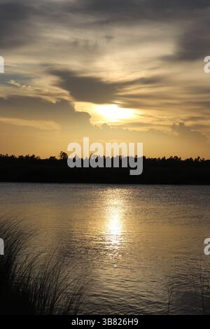 Capturé lors d'un coucher de soleil doré, le soleil brille à travers les nuages, se reflétant sur le lac calme. Des arbres silhouettés bordent l'horizon et de hautes herbes se dressent i Banque D'Images