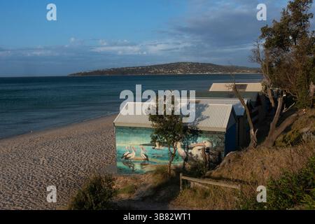 Cabanes de plage multicolores à Dromana Victoria, Australie. Banque D'Images