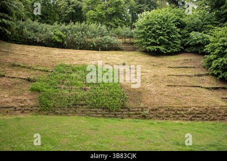 Torino, Italie. 07 mai 2023. Inaugurazione degli interventi di riqualificazione del parco Leopardi. Torino, Italia - Mercoledì, 7 maggio 2025 - Cronaca - Foto Andrea Alfano/LaPresse inauguration du réaménagement du parc Leopardi. Turin, Italie - mercredi 7 mai 2025 - Actualités - Andrea Alfano/LaPresse crédit : LaPresse/Alamy Live News Banque D'Images