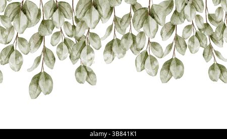 Illustration aquarelle de la frontière botanique sans couture avec des branches et des feuilles d'eucalyptus. Dessin de cadre pour invitation de mariage, arrière-plans de papeterie et cartes de voeux de douche de bébé. Banque D'Images