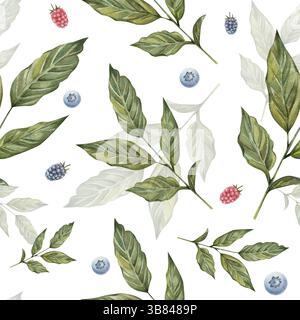 Modèle sans couture avec des feuilles de café aquarelle, des branches de myrtille et de framboise. Design botanique peint à la main sur fond blanc. Parfait pour les impressions, les textiles, la décoration de cuisine et les invitations Banque D'Images