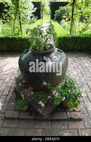 Urne de jardin au centre du patio Banque D'Images