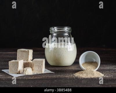 Différents types de levure. La levure pressée frais et sec levure instantanée et active du blé levain (levure sauvage) sur la table en bois. Clé faible. Focu sélective Banque D'Images