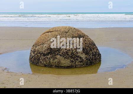 Un Moeraki Boulder fissuré dans une piscine rocheuse sur Koekohe Beack à marée basse. Banque D'Images