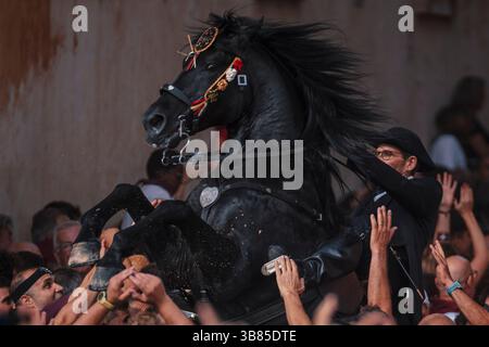 23 juin 2024, Ciutadella de Menorca, Îles Baléares, Espagne : un 'caixer' (cavalier) se lève sur son cheval entouré d'une foule enthousiaste pendant le 'Caragol des Born' (défilé équestre) à la veille du traditionnel 'Sant Joan' (Saint Jean) festival. (Crédit image : © Matthias Oesterle/ZUMA Press Wire) Banque D'Images