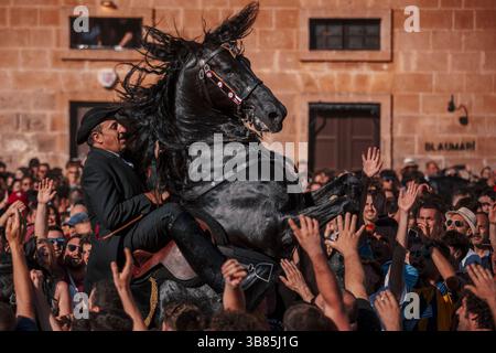23 juin 2024, Ciutadella de Menorca, Îles Baléares, Espagne : un 'caixer' (cavalier) se lève sur son cheval entouré d'une foule enthousiaste pendant le 'Caragol des Born' (défilé équestre) à la veille du traditionnel 'Sant Joan' (Saint Jean) festival. (Crédit image : © Matthias Oesterle/ZUMA Press Wire) Banque D'Images