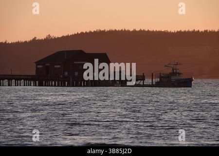 19 juin 2024, Coupeville, Washington, USA : scènes de la ville de Coupeville, Whidbey Island, État de Washington, la semaine du 16 juin 2024. Whidbey Island est dans Puget Sound, au nord de Seattle, Washington. Le terrain accidenté de islandÃs s'étend sur des plages, des collines et des terres agricoles. À sa pointe nord-ouest, le parc national Deception Pass offre des vues sur la falaise, des sentiers forestiers et des lacs d'eau douce. (Crédit image : © Karen Focht/ZUMA Press Wire) Banque D'Images