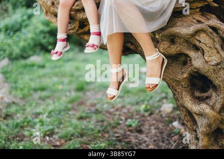 Pieds de mère et d'enfant. Ma fille et ma mère sont assises sur un arbre dans la forêt Banque D'Images