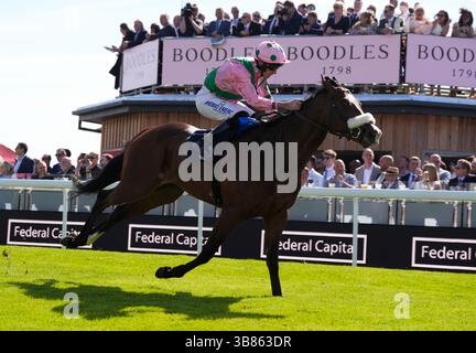 Hammer the Hammer monté par Tom Eaves sur leur chemin pour remporter le handicap de la capitale fédérale de l'amour lors de la journée des essais du festival Boodles May à l'hippodrome de Chester. Date de la photo : mercredi 7 mai 2025. Banque D'Images