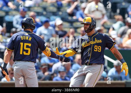 8 mai 2024 : Gary SÃÂnchez (99 ans), premier joueur de base des Milwaukee Brewers, est rencontré au plateau par Oliver Dunn (15 ans), troisième joueur de base des Milwaukee Brewers, célébrant SanchezÃ¢â‚¬â„¢ home run en septième manche au Kauffman Stadium à Kansas City, Missouri. David Smith/CSM (image de crédit : © David Smith/CSM via ZUMA Press Wire) Banque D'Images