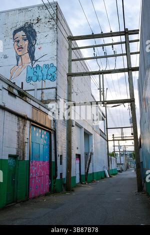 Une ruelle de Vancouver avec une murale regardant vers le bas d'en haut à Mount Pleasant. Banque D'Images