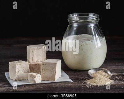 Différents types de levure. La levure pressée frais et sec levure instantanée et active du blé levain (levure sauvage) sur la table en bois. Clé faible. Focu sélective Banque D'Images
