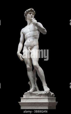 David - marmo bianco di Carrara - Michelangelo Buonarroti - 1501/1504 - Firenze , Galleria dell' Accademia Banque D'Images